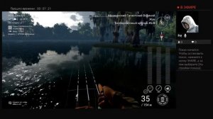 уникальный оливковый сомик о.Кванчкин