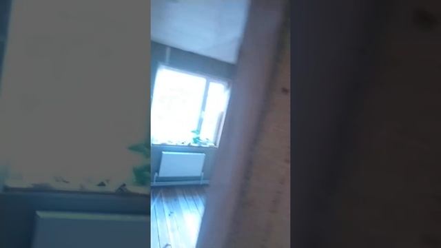 Монтаж электро проводки в новом доме день 3 (наши работы) работаем в городе Брянске и области. смотреть онлайн