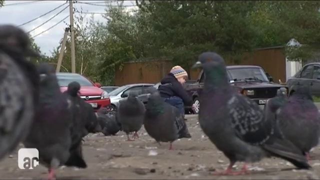 ПРОПИСКА-ВЫПИСКА РЕБЁНКА смотреть онлайн