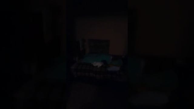 Ниша для шкафа-купе смотреть онлайн