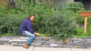 Джефф Лотон Пермакультура в городе