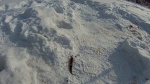 Рыбалка на реке Мана зимой