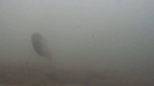 ТАК Я ЕЩЕ НЕ РЫБАЧИЛ!! НЕВЕРОЯТНАЯ СНАСТЬ КОСИТ РЫБУ! РЫБАЛКА НА ХАРИУСА! ПОДВОДНАЯ СЪЁМКА, Поклёвк