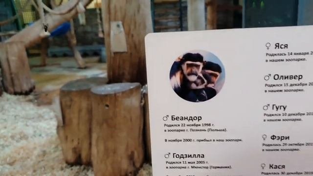 VLOG✈️?Москва-Калининград | Что можно посмотреть за 4 дня