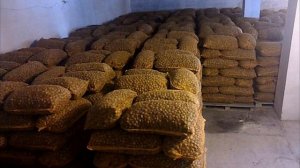 Грецкие орехи. Бизнес на сборе и продаже грецких орехов