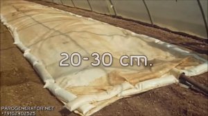 №1 Дезинфекция почвы, стерилизация почвы паром для выращивания эустомы (лизиантуса)