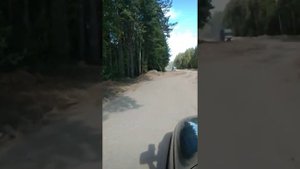 Убойная дорога Вознесение Вытегра