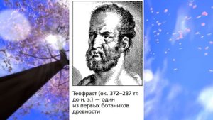 Биология 6 кл., § 1 "Царство Растения. Внешнее строение и общая характеристика растений"
