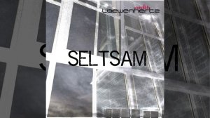 Seltsam (DMT Berzerk Remix)