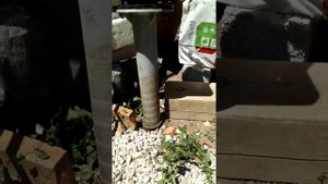 Винтовые сваи: покрытие после демонтажа