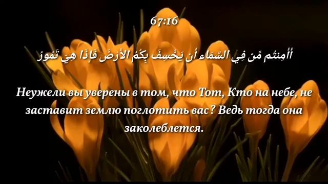 СУРА 67. "АЛЬ-МУЛЬК"(ВЛАСТЬ).ПЕРЕД СНОМ СТИРАЕТ ГРЕХИ, ОЧИЩАЕТ ДУШУ НА ЗАВТРА, УСПОКАИВАЕТ ИНШААЛЛА