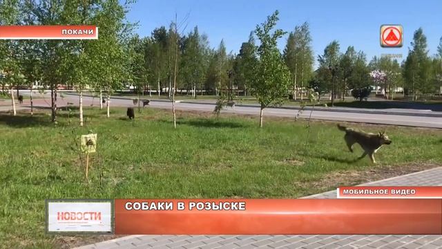 Закон о гуманном обращении с животными не работает смотреть онлайн