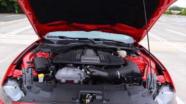 Ford Announces 7 NEW EVs  Tesla Model 3 Gets MORE Expensive  Sunday Scoops Ep. 2