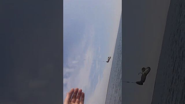 маныч онлайн смотреть онлайн