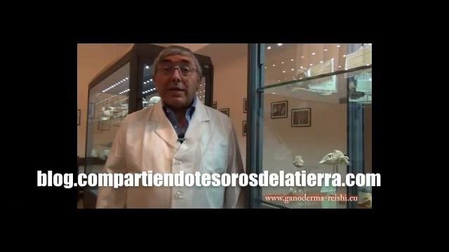 Ganoderma Lucidum - Reishi - Intervento del professore micologo Carmine Lavorato смотреть онлайн