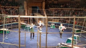 Окончание в Ростове-на-Дону программы "В Созвездии Льва"