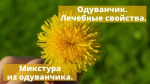 7 ПРИЧИН ПИТЬ ЧАЙ ИЗ ОДУВАНЧИКА. ОДУВАНЧИК, ЛЕЧЕБНЫЕ СВОЙСТВА.