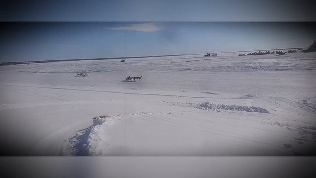День оленевода 30.03.2019 г. гонки на оленьих упряжках   Салехард  ЯНАО  Ямал