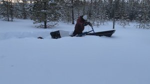 Мотособака без реверса/ практика 25.02.2022