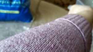 Компаньоны для роз.