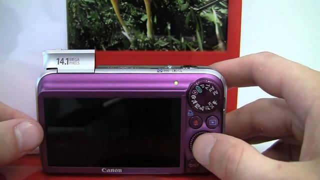 portrait regime портретный режим смотреть онлайн