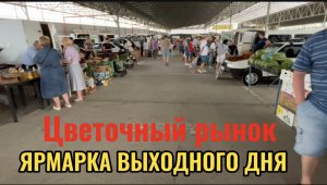 КРАСНОДАР.ЦВЕТОЧНЫЙ РЫНОК,СЕЛЬСКОХОЗЯЙСТВЕННАЯ ЯРМАРКА 5.06.22год