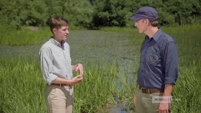 #201: Frogs - celebrate spring and the sound of spring peepers! смотреть онлайн