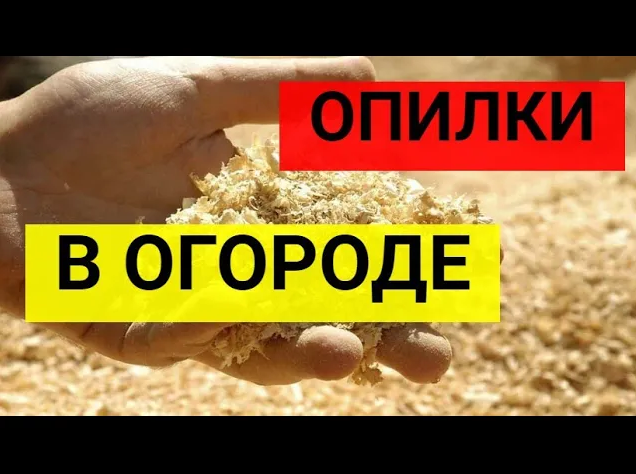 Перепревшие опилки. Стружка древесная. Мульчирование деревьев опилками. Пилометр мульча. Перепревшие опилки.