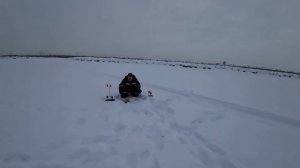 #Рыбалка на твердой воде 2024. #Stels #Ставр. Ловля щуки. Поездка на #снегоходе.