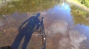 Ловлю рыбу руками,на высохшем болоте! ЖЕСТЬ Сколько рыбы!