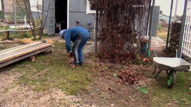 Городская дача. Осенняя уборка территории нашей дачи.