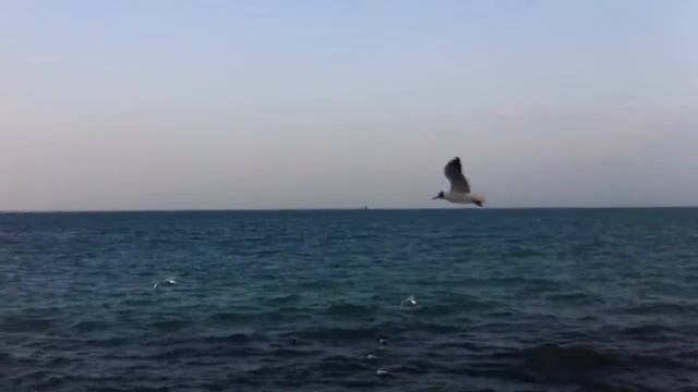 Расскажи мне о море