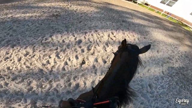 НЕОХОТНО, НО ПРЫГАЕМ | 20 июня 2021 | КОНКУР | GoPro смотреть онлайн