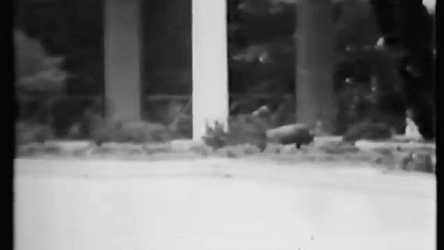 Narcissus and Echo "A Greek Myth" смотреть онлайн