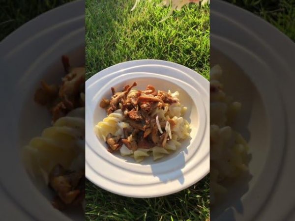 Паста с лисичками ❤️ рецепт в описании ⬇️⬇️⬇️
