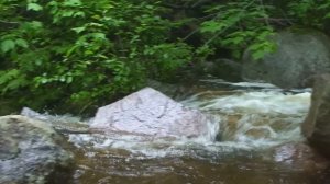 Sony HDR-HC9 CMOS SENSOR TEST