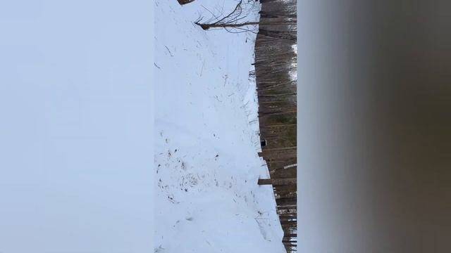 Лозьва. Понил. 09.03.2023