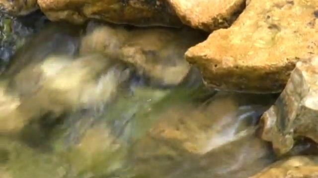 родник смотреть онлайн