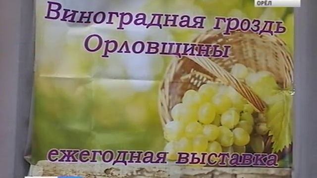 В Орле прошла выставка винограда