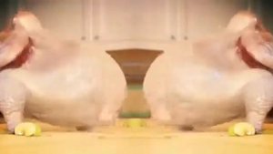 Курица танцует   тверг 😅