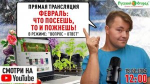 Февраль: что посеешь, то и пожнешь!