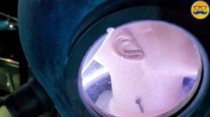 ДЕЛЬФИН НАПАЛ НА ЖЕЛЕЙНОГО МЕДВЕДЯ ВАЛЕРУ | ПРИКЛЮЧЕНИЯ МЕДВЕДЯ ВАЛЕРЫ НА МОРЕ С ДЕЛЬФИНАМИ