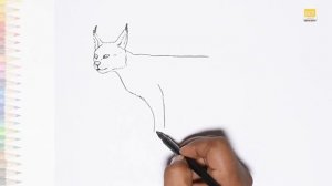 Caracal drawing easy 02 | How to draw very simply Caracal drawing step by step | outline drawings