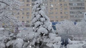 ЩЕЛКИНО. КРЫМ.  РОЖДЕСТВЕНСКИЙ  СНЕГ. 7 января 2019