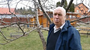 Формирование и обрезка садовых деревьев и кустарников