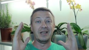 про ОРХИДЕИ: ванда, онцидиум, дендробиум, камбрия, каттлея, цимбидиум и