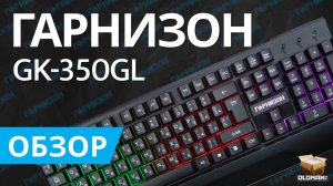 ОБЗОР ГАРНИЗОН GK-350GL | БЮДЖЕТНАЯ ИГРОВАЯ КЛАВИАТУРА С ПОДСВЕТКОЙ