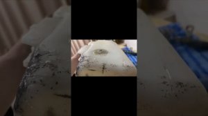 Мерседес 210. Ремонт бачка омывателя!