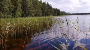 Палозеро.Легашевская.