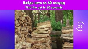 Тест на внимательность! Mindfulness test!